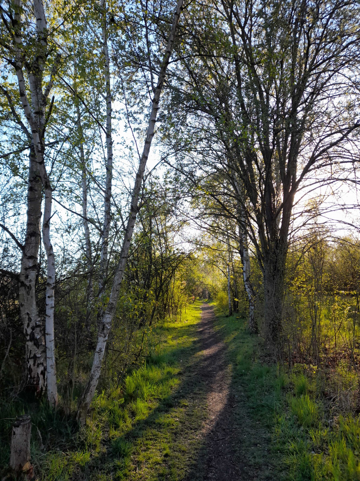 Procházka přírodou